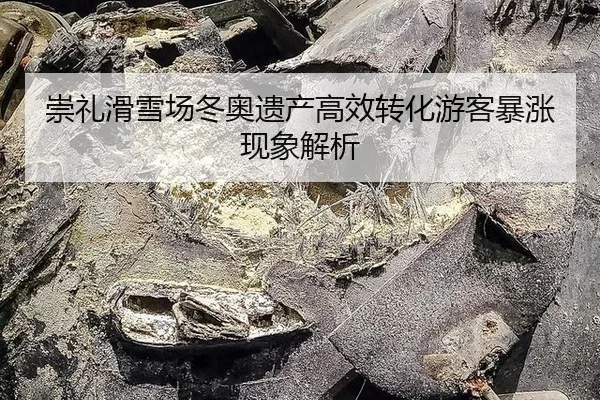 chong-li-hua-xue-chang-dong-ao-yi-chan-gao-xiao-zhuan-hua-you-ke-bao-zhang-xian-xiang-jie-xi-2-410.jpg